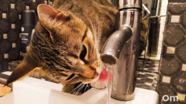 В Омске опубликовали график отключения горячей воды по адресам: где проверить даты?