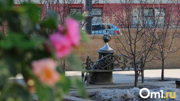 Запахло весной! В Омске пройдёт дождь и потеплеет до +1