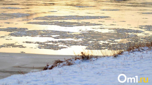 В зону риска паводка вошли 144 населённых пункта Омской области В зону риска паводка вошли 144 населённых пункта Омской области