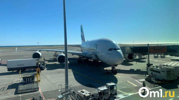 Омская область получит дополнительные деньги на новый аэропорт