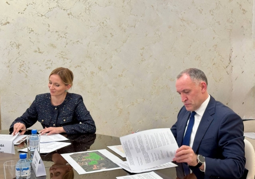 В&nbsp;Омске обсуждают проект строительства новой солнечной электростанции