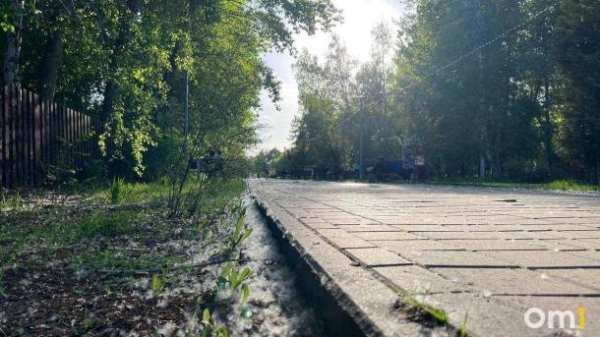 Тополиный пух, жара... и май. Типично летнее бедствие пришло в Омск раньше срока