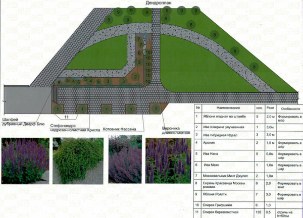 Синица в руках или журавль в небе? Почему сквер Водников получился не таким