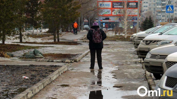 В Омской области 8 Марта ожидаются снег и метель В Омской области 8 Марта ожидаются снег и метель