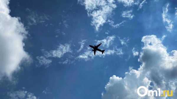 Из Омска возобновят прямые рейсы в Краснодар