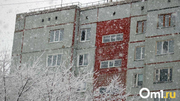 В Омской области резко ухудшится погода: снег, дождь и шквалистый ветер