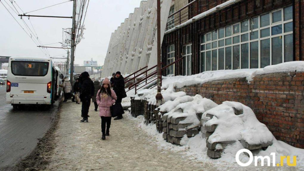 Омские автобусы возвращают на старую систему оплаты