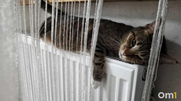 Мэр Омска рассказал, когда в городе отключат отопление