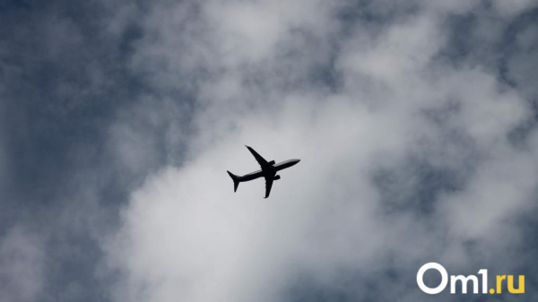 Омичи столкнулись с многочасовыми задержками рейсов в Санкт-Петербург и Уфу