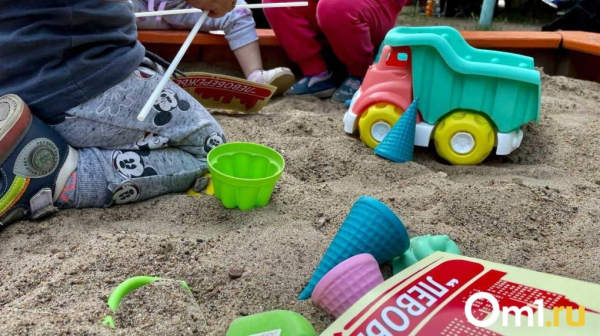 В самой большой омской семье оказалось 22 ребёнка В самой большой омской семье оказалось 22 ребёнка