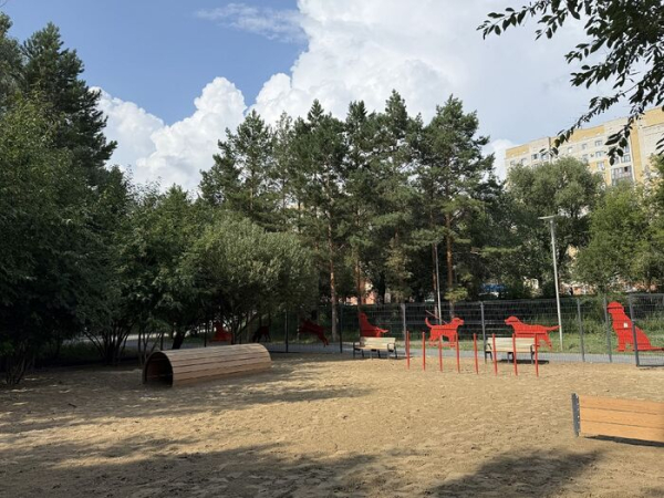 Ищем площадку для собак: где выгулять и потренировать питомца