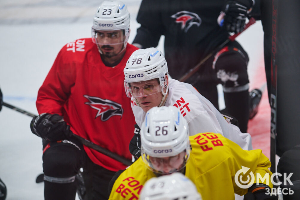 "Это серьёзный вызов, но мы вызовы любим". Омский "Авангард" вышел на лёд после паузы