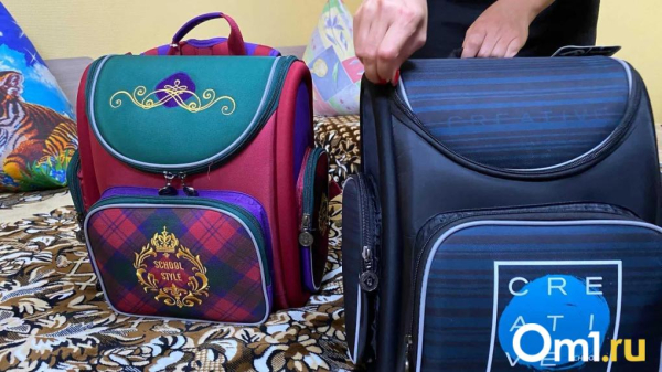 Стало известно, кто закончит ремонт гимназии №88 в Омске