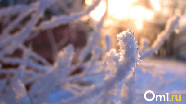 Морозы возвращаются? На следующей неделе погода преподнесёт омичам неприятный сюрприз