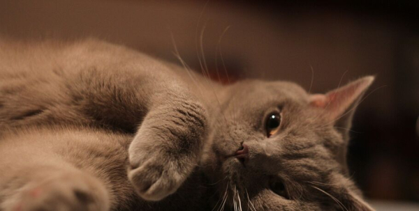 От кладовщика до аналитика: рейтинг самых трудолюбивых и ленивых профессий в Омске От кладовщика до аналитика: рейтинг самых трудолюбивых и ленивых профессий в Омске