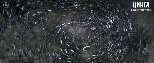 Режиссёр родом из Омска Владимир Головнёв снял мистический триллер на просторах Ямала Режиссёр родом из Омска Владимир Головнёв снял мистический триллер на просторах Ямала