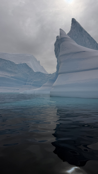 Омичи в Антарктике! Анастасия Селифонова заговорила о мировой проблеме из места, где нет часовых поясов Омичи в Антарктике! Анастасия Селифонова заговорила о мировой проблеме из места, где нет часовых поясов