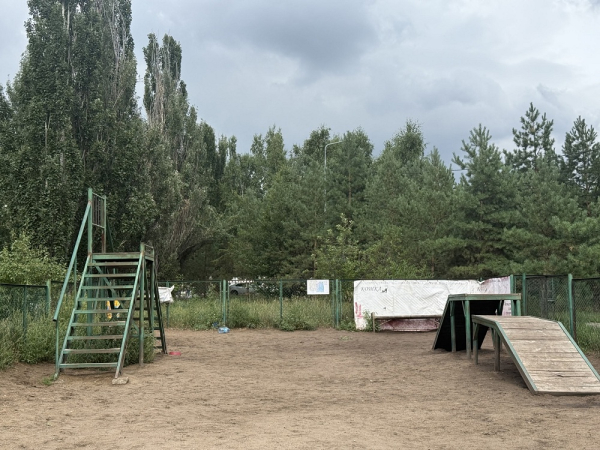 Ищем площадку для собак: где выгулять и потренировать питомца