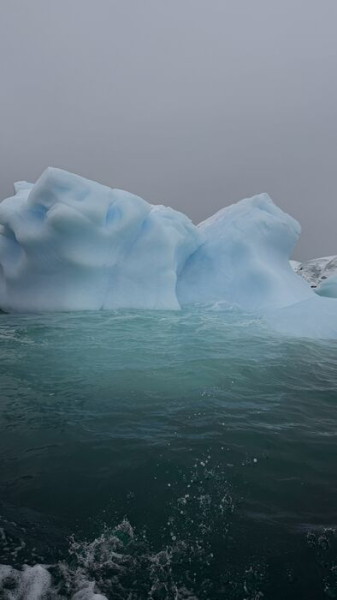 Омичи в Антарктике! Анастасия Селифонова заговорила о мировой проблеме из места, где нет часовых поясов Омичи в Антарктике! Анастасия Селифонова заговорила о мировой проблеме из места, где нет часовых поясов