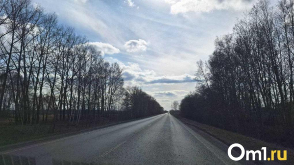 В Омске запускают муниципальный асфальтобетонный завод