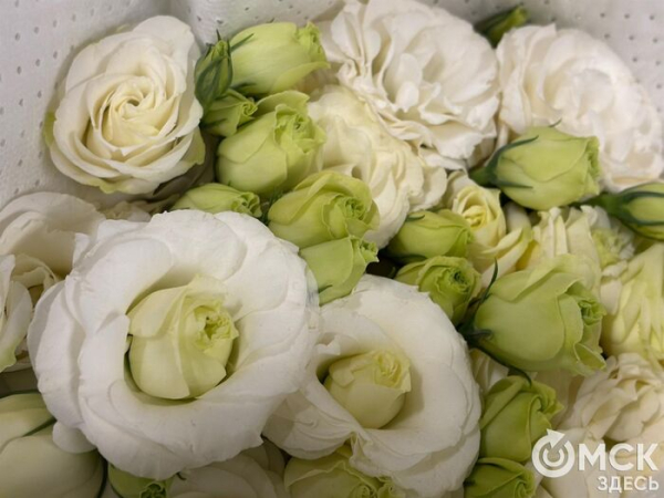 Символы загадочности и утончённости. Какие цветы заменят голландские розы и тюльпаны