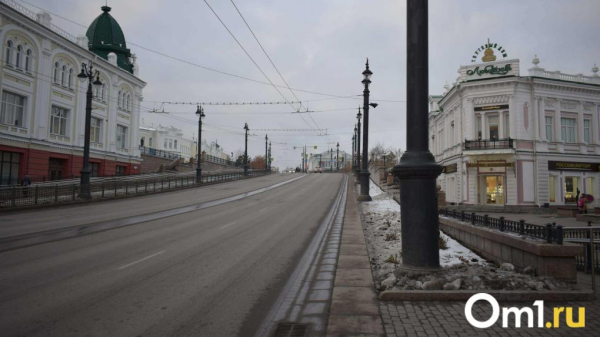 В Омске Любинский проспект снова сделают пешеходным