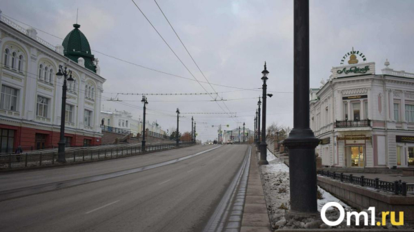 В Омске могут запустить проект &laquo;Пешеходный Любинский&raquo; с 1 мая