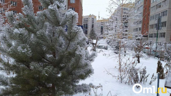 Морозы не уходят: синоптики дали пугающий прогноз на март Морозы не уходят: синоптики дали пугающий прогноз на март