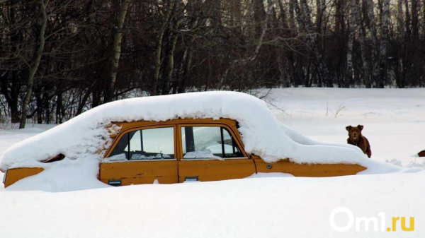 Когда в Омской области отступят арктические морозы Когда в Омской области отступят арктические морозы