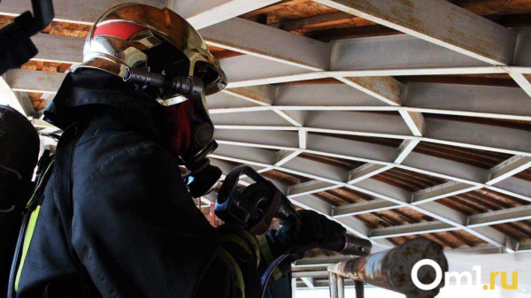 На проспекте Мира в Омске загорелось здание гипермаркета «Маяк» На проспекте Мира в Омске загорелось здание гипермаркета «Маяк»