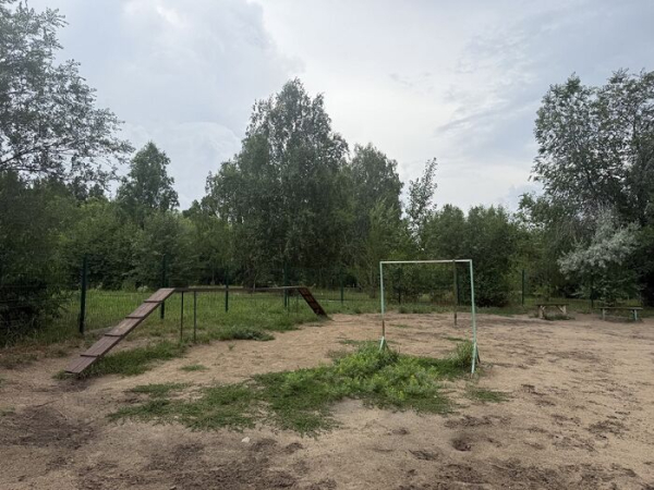 Ищем площадку для собак: где выгулять и потренировать питомца