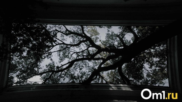 Омичка в четвёртый раз стала главной по городским кладбищам