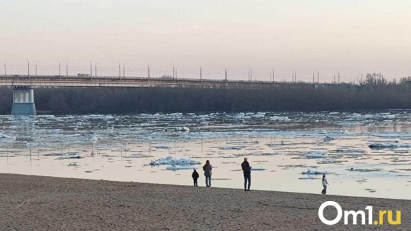 Лёд уже потемнел: синоптики назвали точную дату начала ледохода