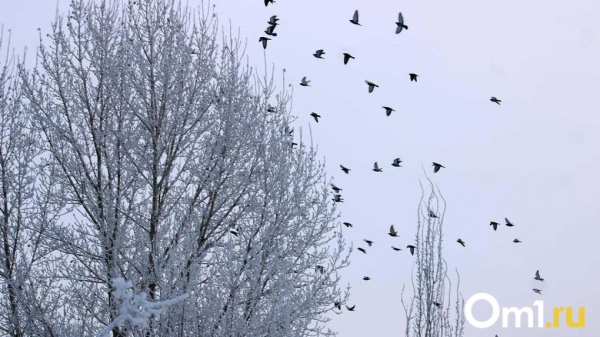 От +1 до &ndash;16: в марте омичей ждут мощные температурные качели