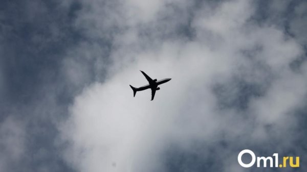 Рейс в Сочи из Омска задерживается из-за ограничений в южном аэропорту Рейс в Сочи из Омска задерживается из-за ограничений в южном аэропорту