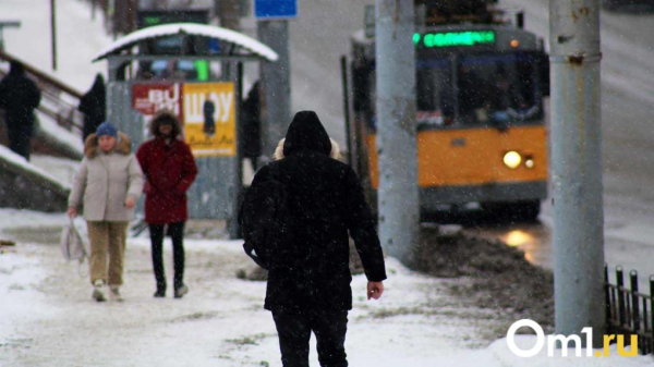 На Левом берегу построят новую троллейбусную остановку