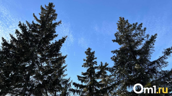 В Омске потеплеет до нуля: синоптики предупреждают о гололедице