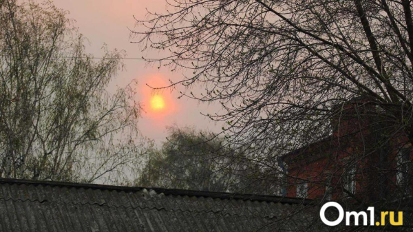 Омск снова накрыло смогом: объявлен режим НМУ