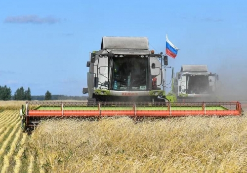 В пятерке основных покупателей омского зерна оказались Израиль и Нигерия В пятерке основных покупателей омского зерна оказались Израиль и Нигерия