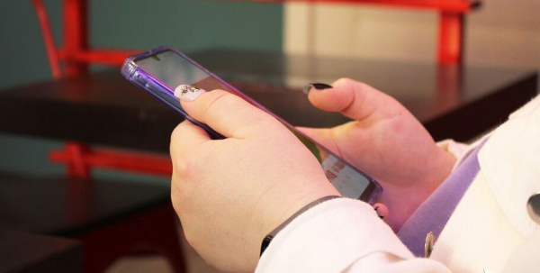 Жирафа нет, но вы держитесь: топ странных и повторяющихся вопросов от посетителей Омского зоопарка