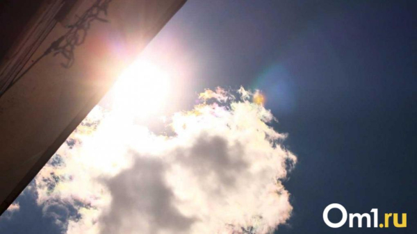 Скоро весна? В Омской области ожидается мощное потепление в течение недели