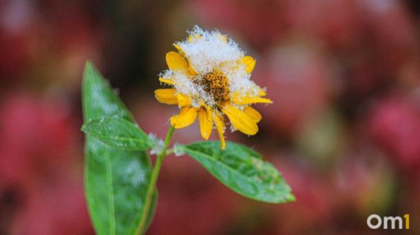 Арктический циклон со снегопадом доберётся до Омской области