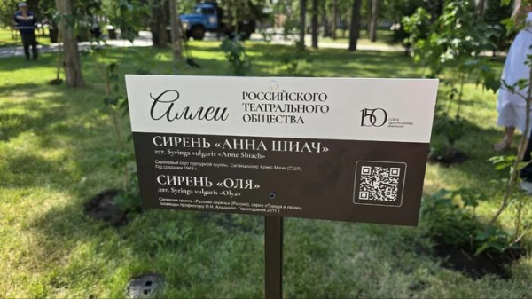 В центре Омска появилась "театральная" сирень