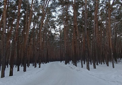 Под Омском продают пансионат «Гармония» Под Омском продают пансионат «Гармония»