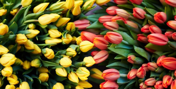 Весенний жест заботы: тюльпаны и тёплые пожелания от мужчин порадовали пациенток онкодиспансера