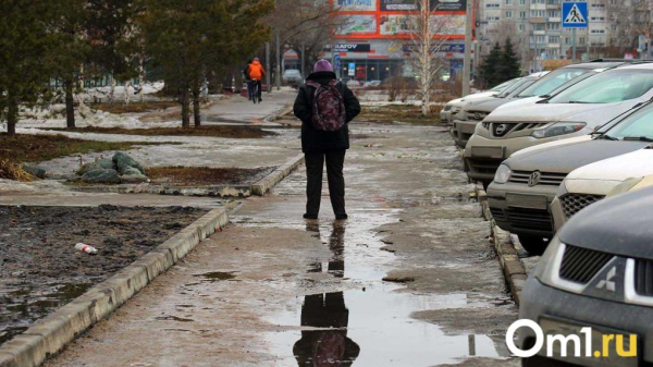 Весна будет суровой: в Гидрометцентре дали грустный прогноз на март в Омской области Весна будет суровой: в Гидрометцентре дали грустный прогноз на март в Омской области