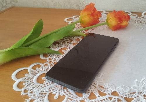 Жители Омска получат доступ к&nbsp;расширенному &laquo;белому списку&raquo;