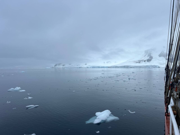 Омичи в Антарктике! Анастасия Селифонова заговорила о мировой проблеме из места, где нет часовых поясов Омичи в Антарктике! Анастасия Селифонова заговорила о мировой проблеме из места, где нет часовых поясов