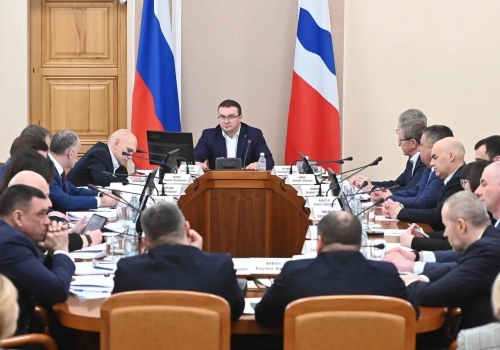 В&nbsp;Омске в&nbsp;следующем году запустят завод по&nbsp;переработке кедрового ореха