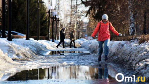 Весна пришла! В Омской области потеплеет до +7 градусов Весна пришла! В Омской области потеплеет до +7 градусов